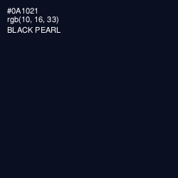 #0A1021 - Black Pearl Color Image